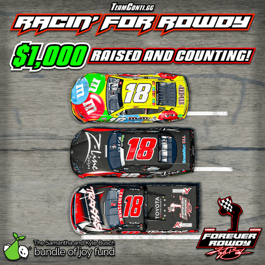 Racin' for Rowdy: $1,000+ Raised for the Bundle of Joy Fund - Team Conti Sim Performance